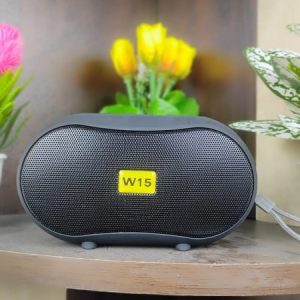 W15 Portable Wireless Speaker